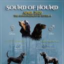 Sound Of Hound - Andrea Egyedova