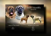 English Mastiff