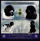 Novofundlandsky pes - stenata s PP
