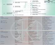 Englantilainen mastiffi