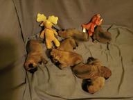 Englantilainen mastiffi