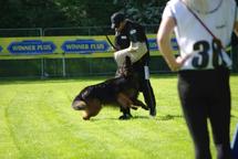 Dlhosrstý nemecký ovčiak