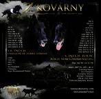 Belgický ovčák - Groenendael, 3 měsíční pejsek s rodokmenem FCI.