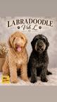 Labradoodle